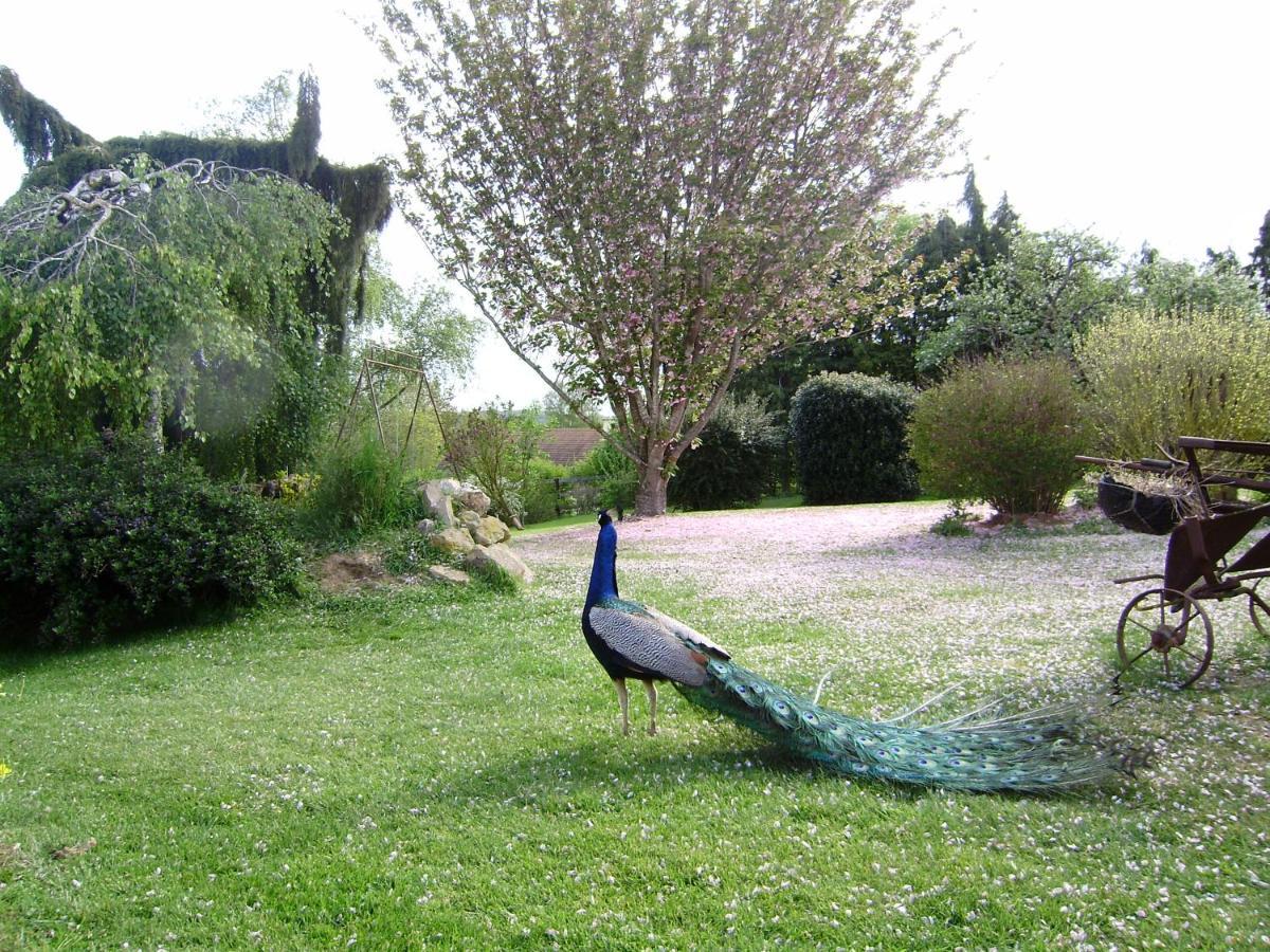 La Ferme Du Bourg Bed & Breakfast Eraines ภายนอก รูปภาพ